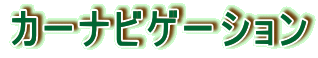 �J�[�i�r�Q�[�V����